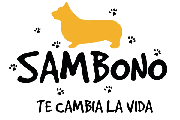 Sambono — Te cambia la vida